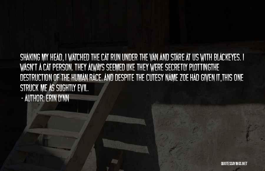 Evil Eyes Quotes By Erin Lynn