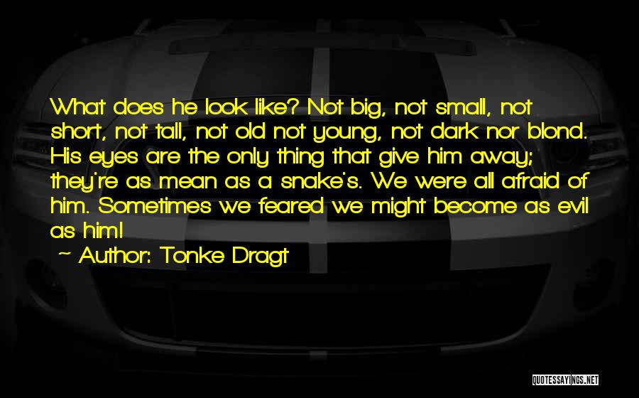 Evil Eyes Quotes By Tonke Dragt