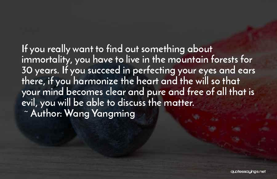 Evil Eyes Quotes By Wang Yangming