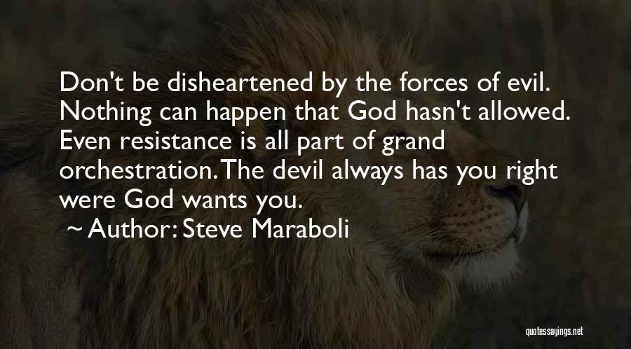 Evil Forces Quotes By Steve Maraboli