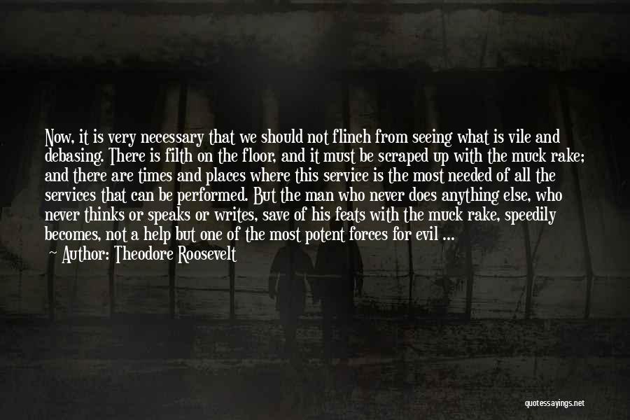 Evil Forces Quotes By Theodore Roosevelt