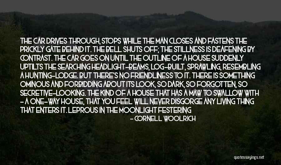 Evil House Quotes By Cornell Woolrich Evil House Quotes By Cornell Woolrich