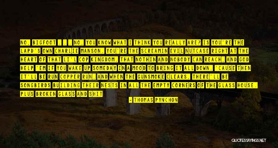Evil House Quotes By Thomas Pynchon Evil House Quotes By Thomas Pynchon