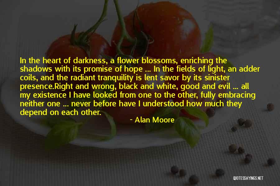 Evil In Heart Of Darkness Quotes By Alan Moore