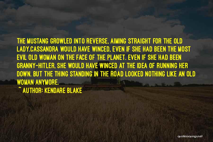 Evil In The Road Quotes By Kendare Blake