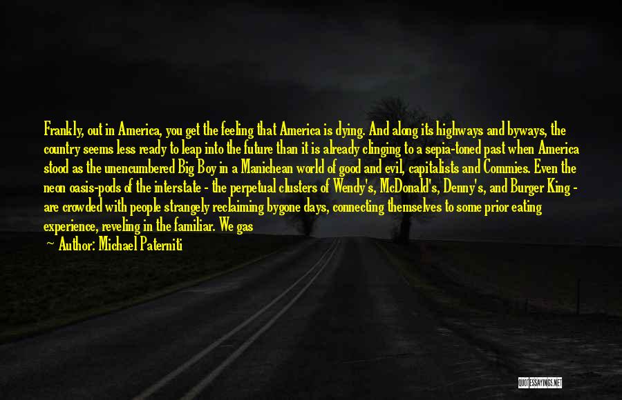 Evil In The World Quotes By Michael Paterniti