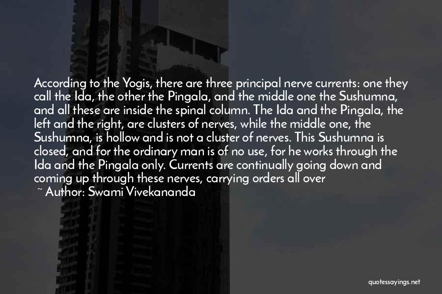 Evil Inside Us Quotes By Swami Vivekananda