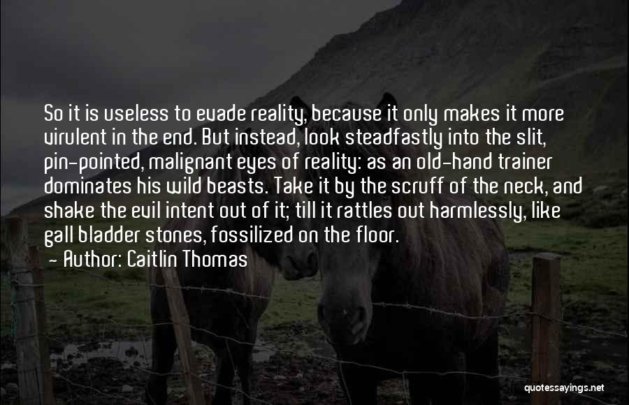 Evil Intent Quotes By Caitlin Thomas