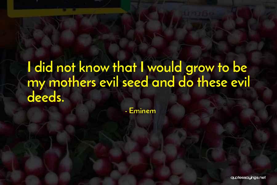 Evil Mothers Quotes By Eminem