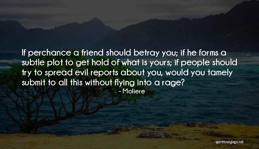 Evil Plot Quotes By Moliere