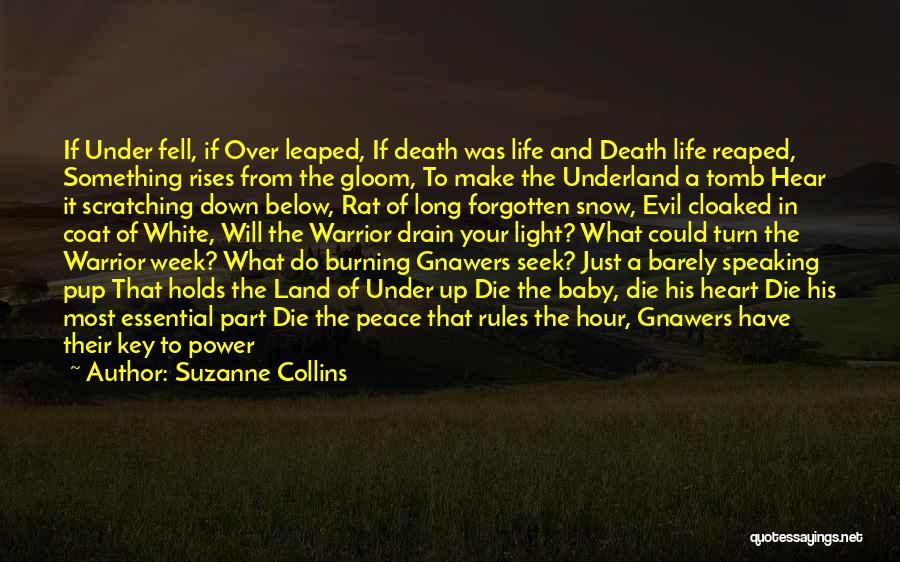 Evil Rises Quotes By Suzanne Collins