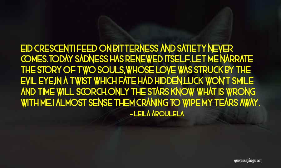 Evil Smile Quotes By Leila Aboulela Evil Smile Quotes By Leila Aboulela