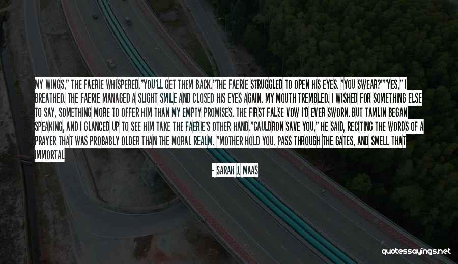 Evil Smile Quotes By Sarah J. Maas Evil Smile Quotes By Sarah J. Maas