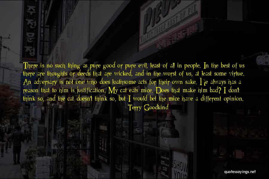 Evil The Cat Quotes By Terry Goodkind Evil The Cat Quotes By Terry Goodkind