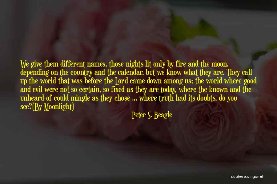 Evil Vs Evil Quotes By Peter S. Beagle Evil Vs Evil Quotes By Peter S. Beagle