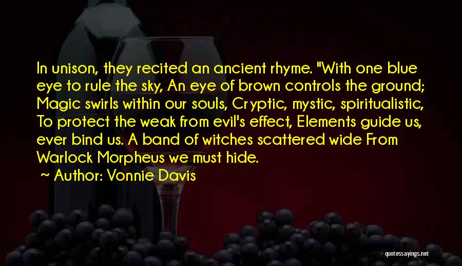 Evil Witches Quotes By Vonnie Davis