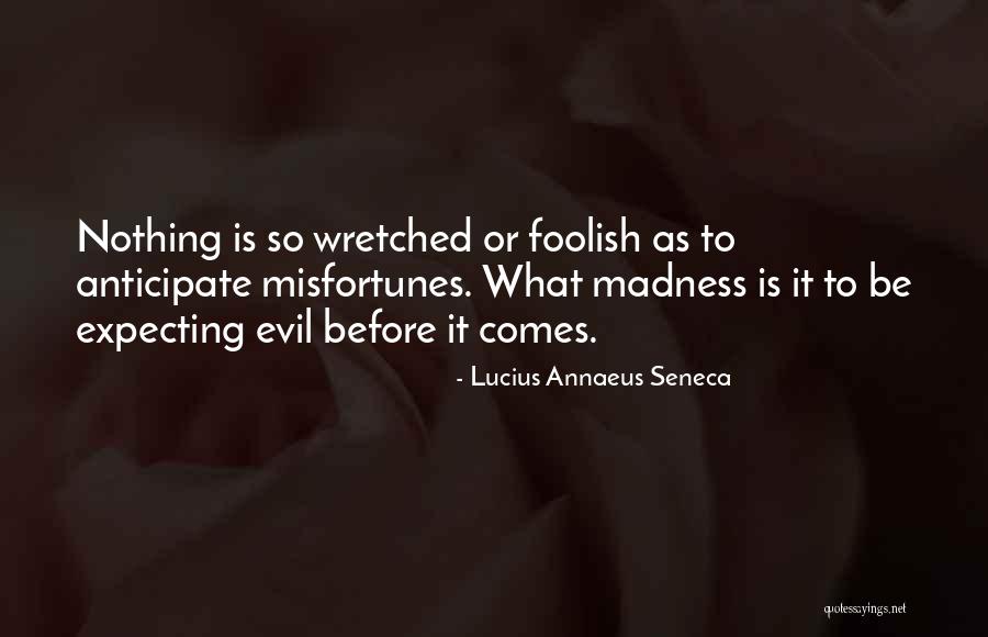 Evil Within Us All Quotes By Lucius Annaeus Seneca Evil Within Us All Quotes By Lucius Annaeus Seneca