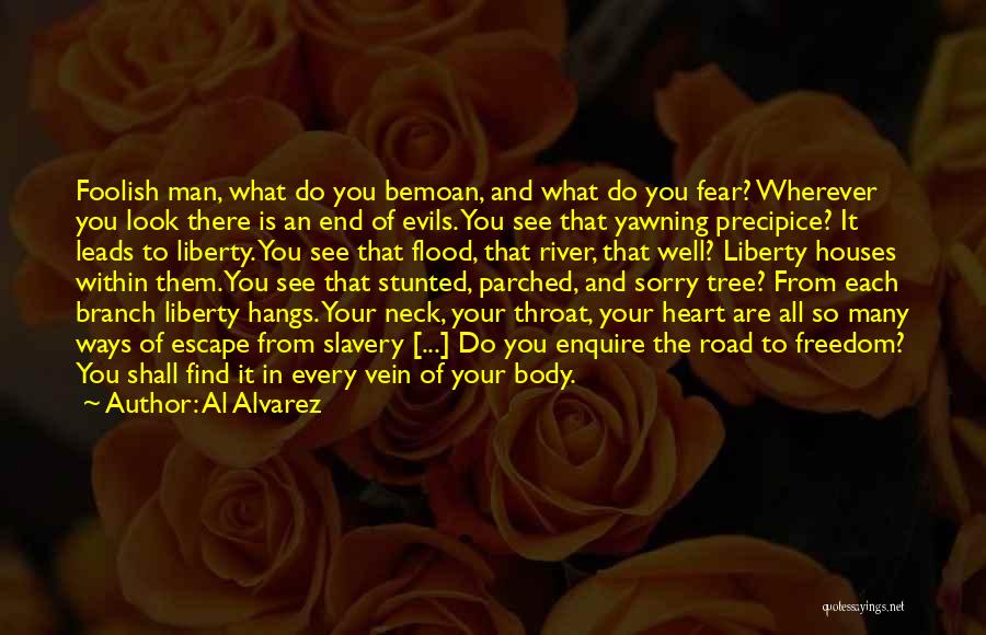 Evils Of Slavery Quotes By Al Alvarez