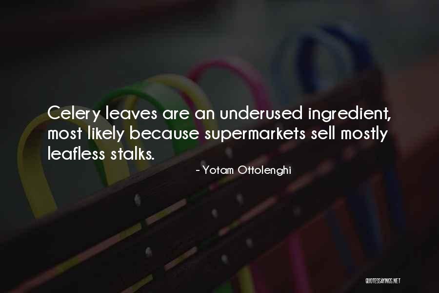 Evinces Synonyms Quotes By Yotam Ottolenghi Evinces Synonyms Quotes By Yotam Ottolenghi