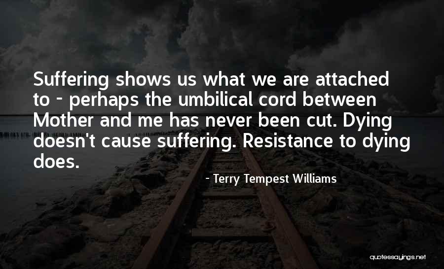 Evlenmek Oyunu Quotes By Terry Tempest Williams Evlenmek Oyunu Quotes By Terry Tempest Williams