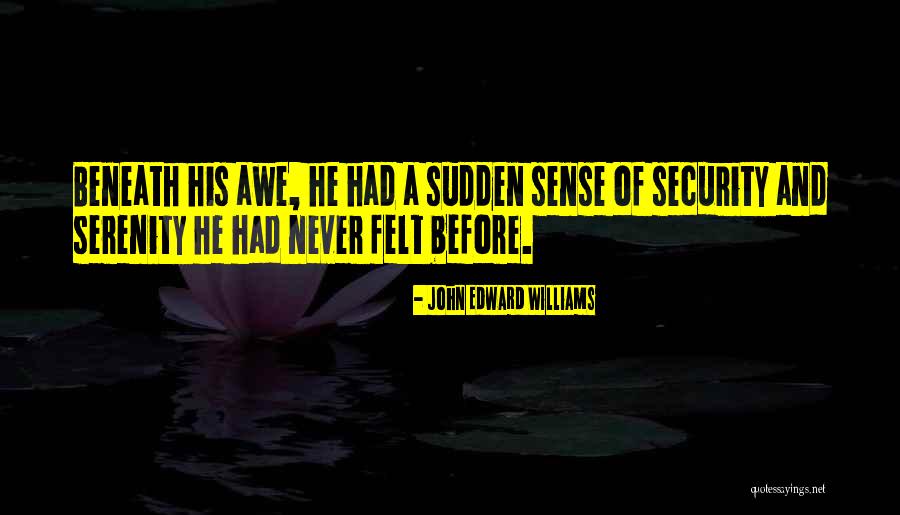 Evocabamos Quotes By John Edward Williams Evocabamos Quotes By John Edward Williams