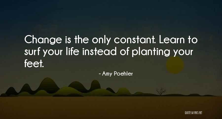 Evolucionar Eevee Quotes By Amy Poehler