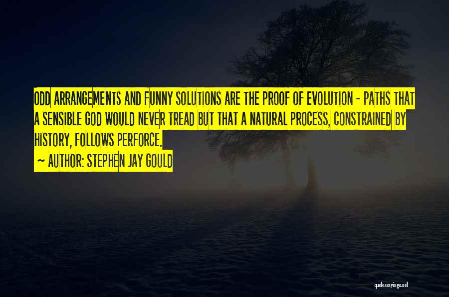 Evolution And God Quotes By Stephen Jay Gould