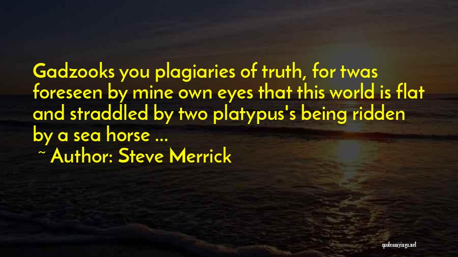 Evolution And Religion Quotes By Steve Merrick