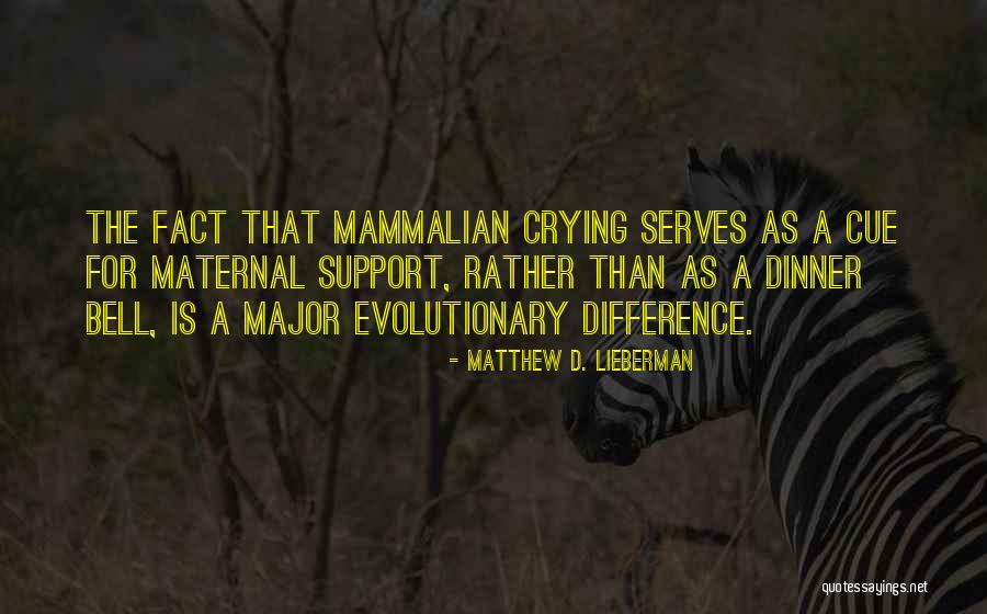 Evolution Humor Quotes By Matthew D. Lieberman Evolution Humor Quotes By Matthew D. Lieberman