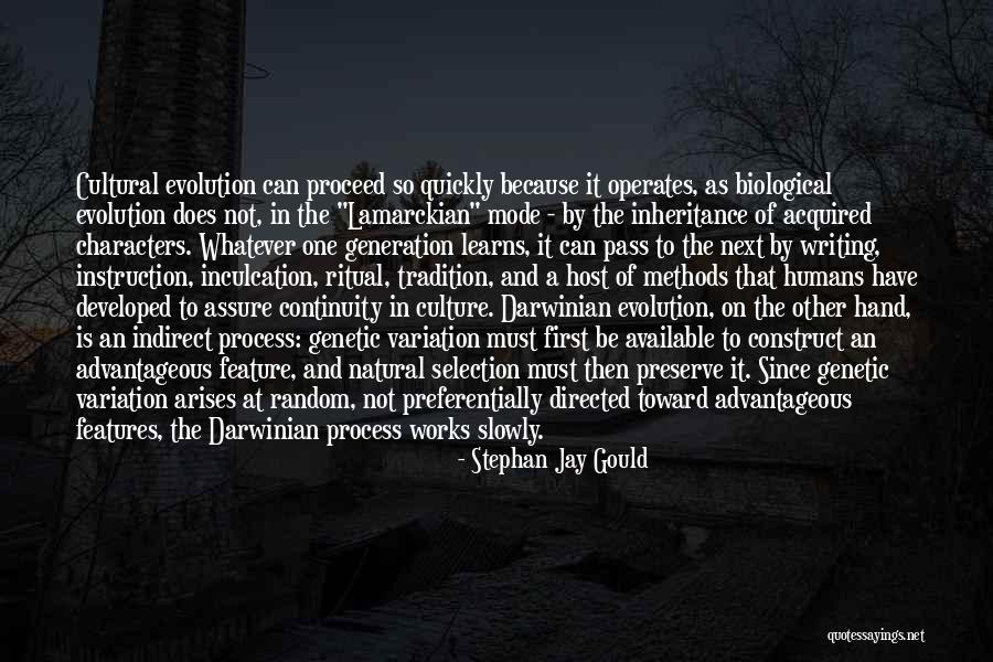 Evolution Of Humans Quotes By Stephan Jay Gould Evolution Of Humans Quotes By Stephan Jay Gould