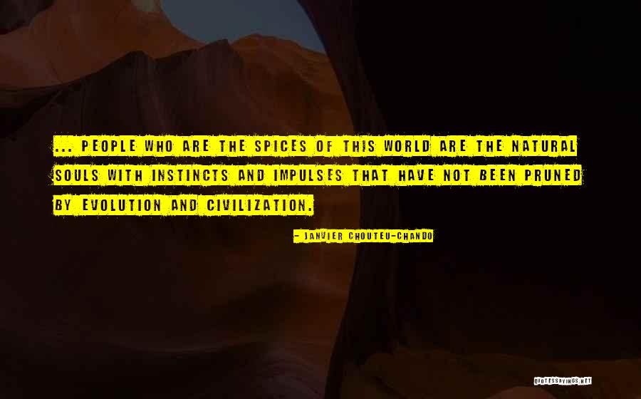 Evolution Of Love Quotes By Janvier Chouteu-Chando Evolution Of Love Quotes By Janvier Chouteu-Chando