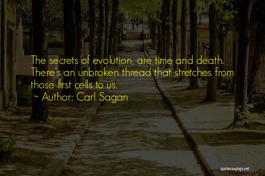 Evolution Of Mankind Quotes By Carl Sagan