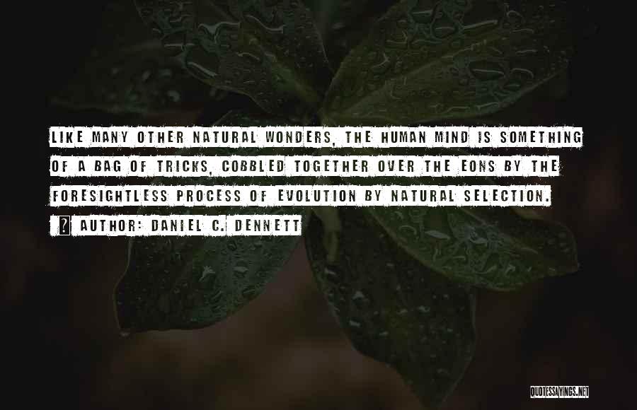 Evolution Of The Mind Quotes By Daniel C. Dennett