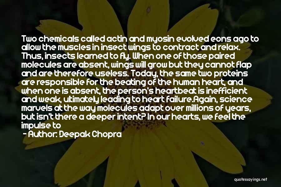 Evolution Of The Mind Quotes By Deepak Chopra
