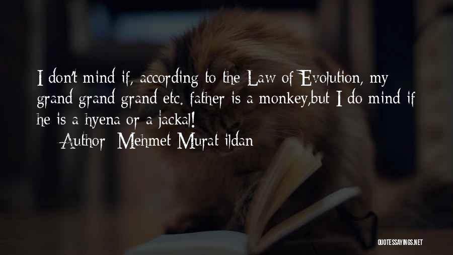 Evolution Of The Mind Quotes By Mehmet Murat Ildan
