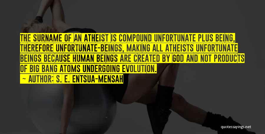 Evolution Vs Creationism Quotes By S. E. Entsua-Mensah