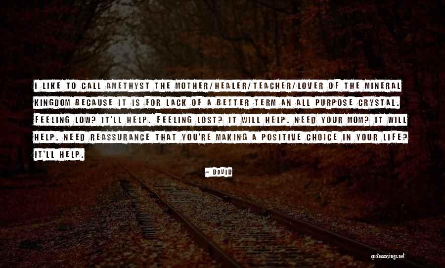 Evolutional Shadow Quotes By David Evolutional Shadow Quotes By David