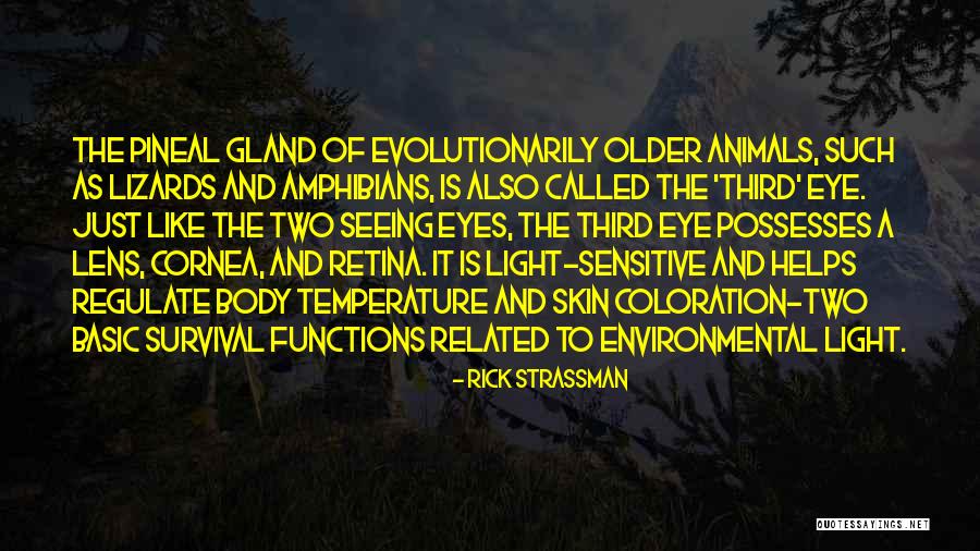 Evolutionarily Quotes By Rick Strassman Evolutionarily Quotes By Rick Strassman