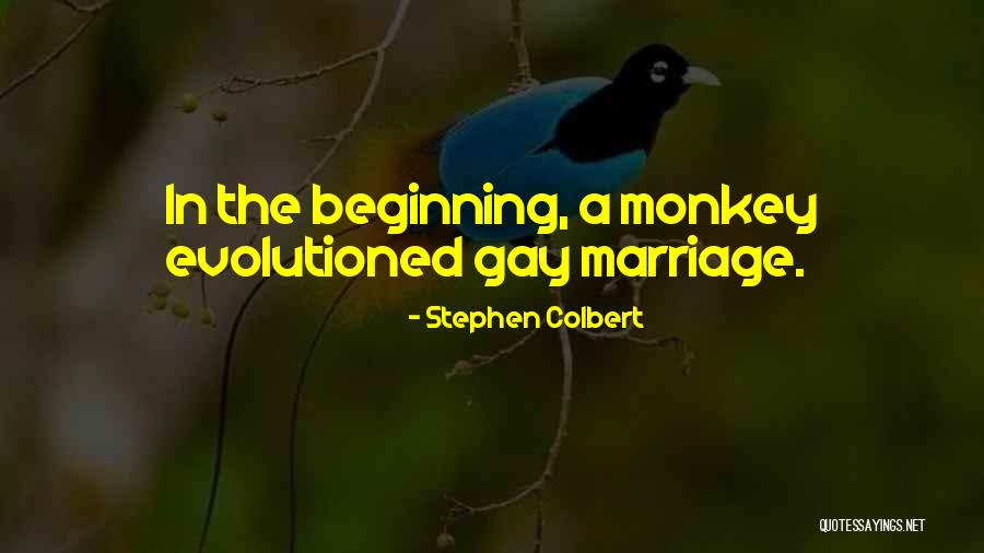 Evolutioned Quotes By Stephen Colbert Evolutioned Quotes By Stephen Colbert
