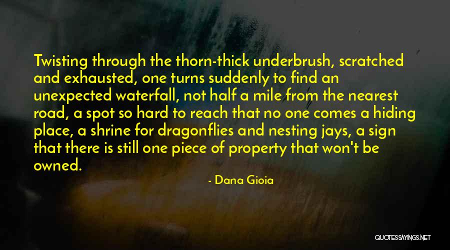 Evolutions Salon Quotes By Dana Gioia Evolutions Salon Quotes By Dana Gioia