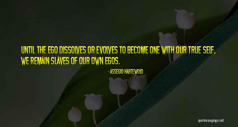 Evolves Quotes By Assegid Habtewold Evolves Quotes By Assegid Habtewold
