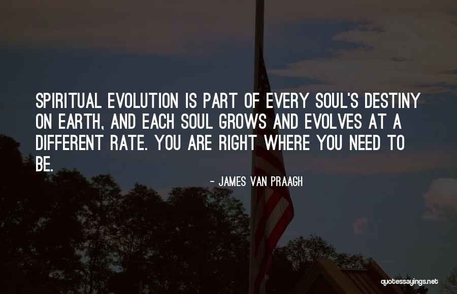 Evolves Quotes By James Van Praagh Evolves Quotes By James Van Praagh