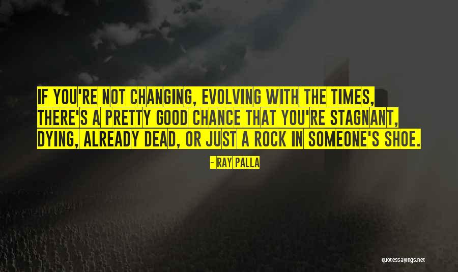 Evolving With Life Quotes By Ray Palla Evolving With Life Quotes By Ray Palla