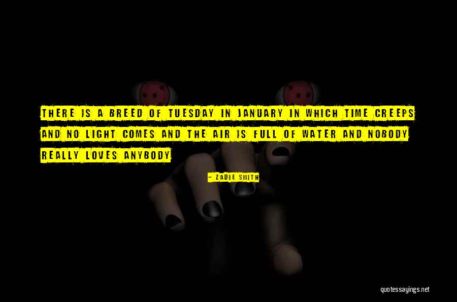 Evzen Balko Quotes By Zadie Smith Evzen Balko Quotes By Zadie Smith
