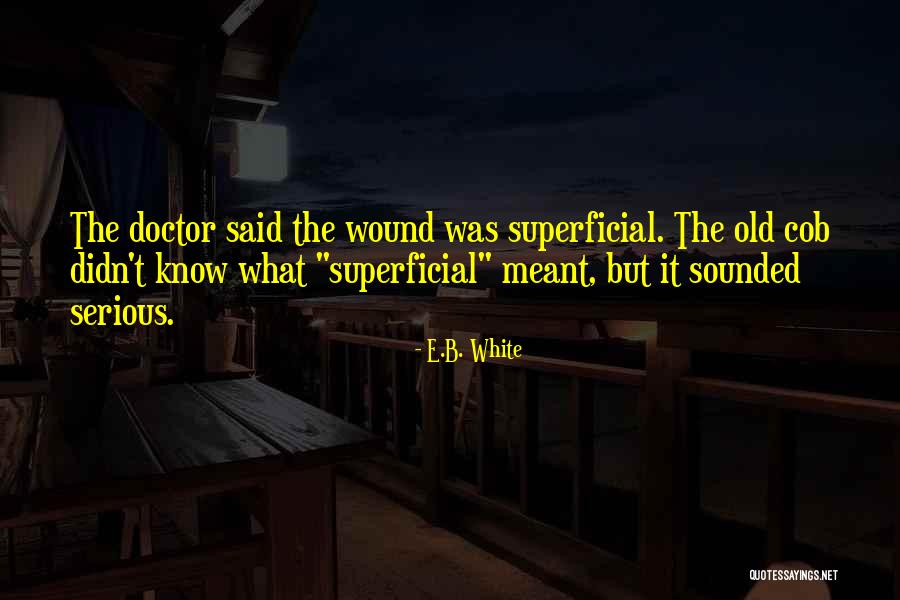 Ewane Kur Quotes By E.B. White Ewane Kur Quotes By E.B. White