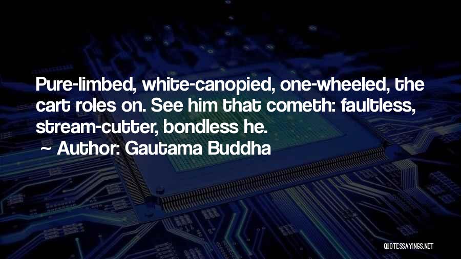 Ex Cutter Quotes By Gautama Buddha