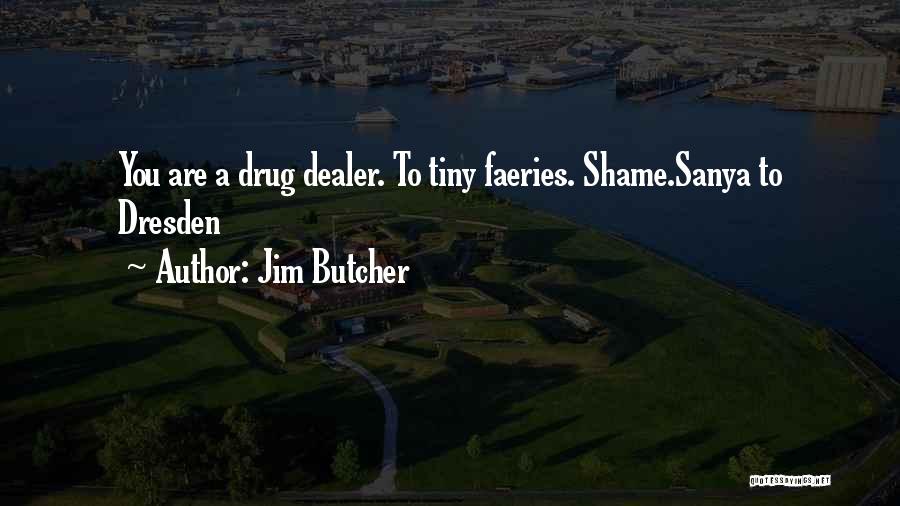 Ex Drug Dealer Quotes By Jim Butcher