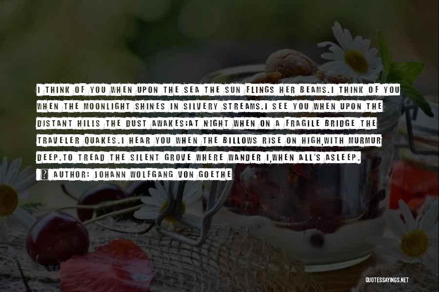 Ex Flings Quotes By Johann Wolfgang Von Goethe