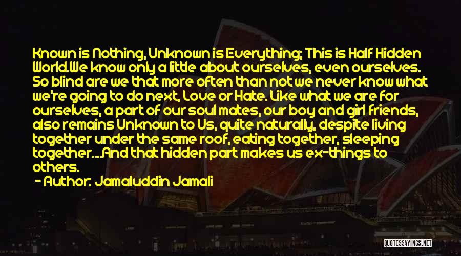 Ex Love Quotes By Jamaluddin Jamali