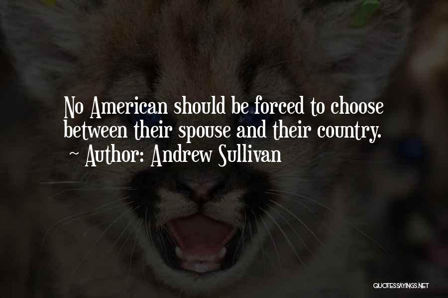 Ex Spouse Quotes By Andrew Sullivan